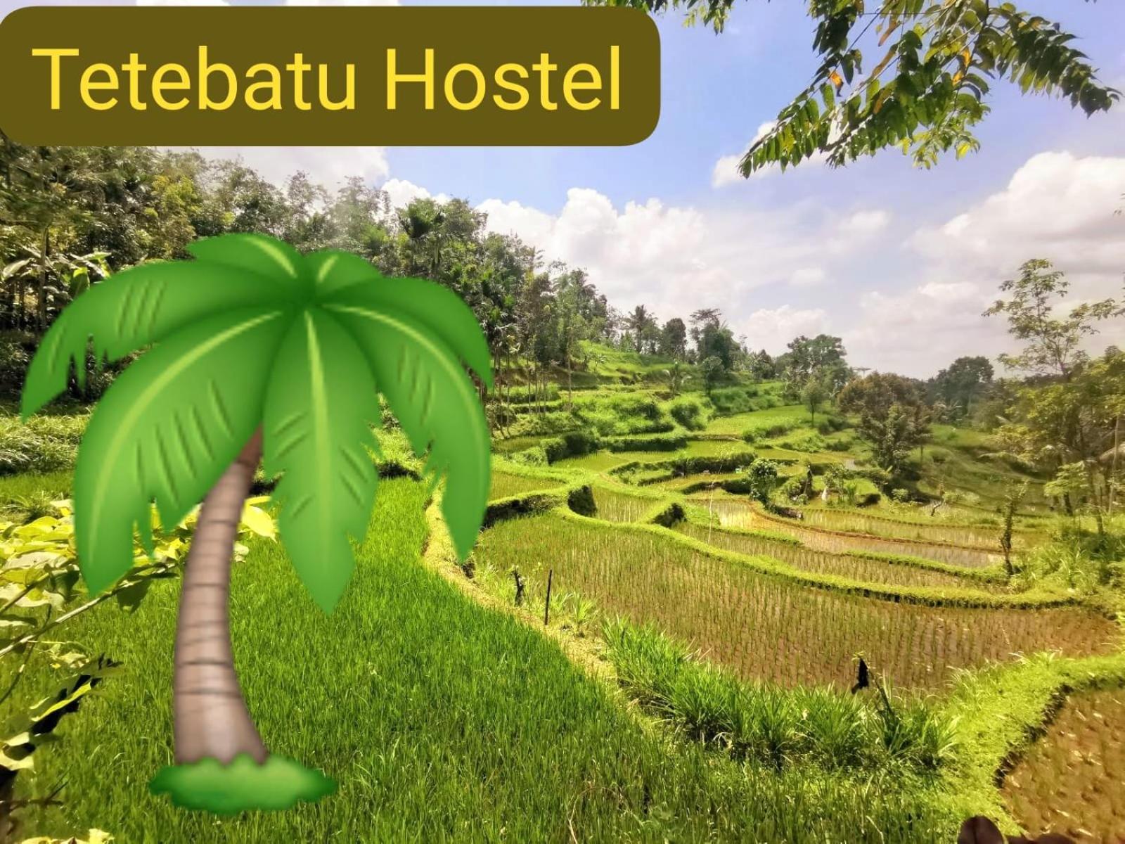 Tetebatu Hostel المظهر الخارجي الصورة