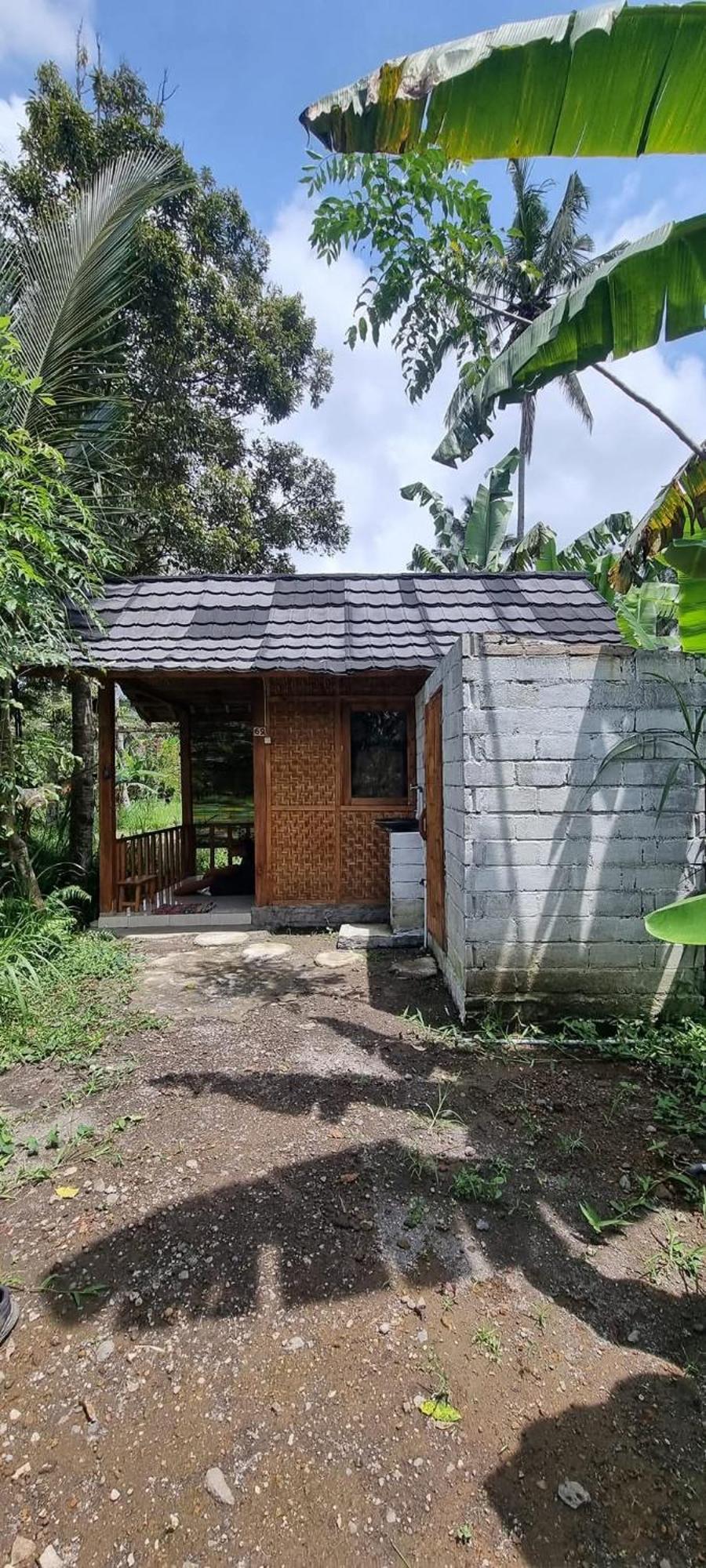 Tetebatu Hostel الغرفة الصورة